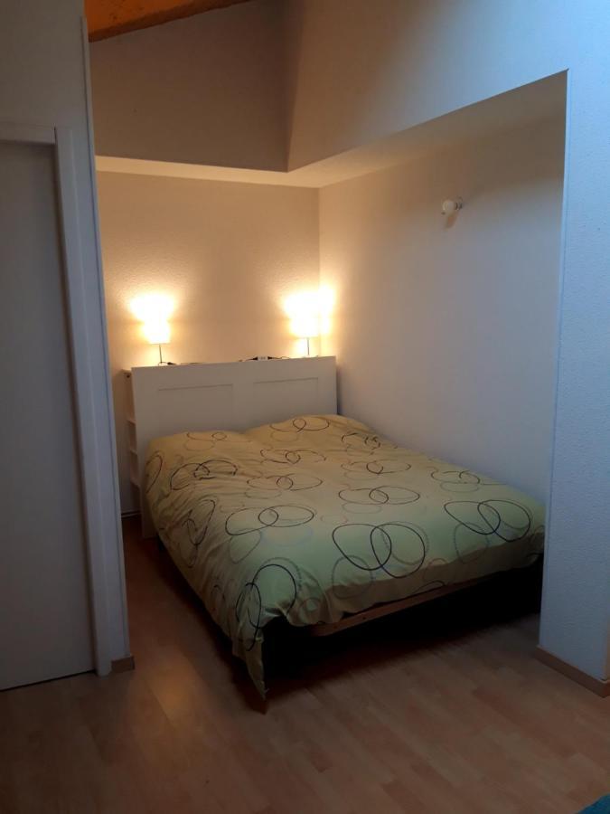 T3 Duplex Lumineux En Centre-Ville Сустон Екстер'єр фото