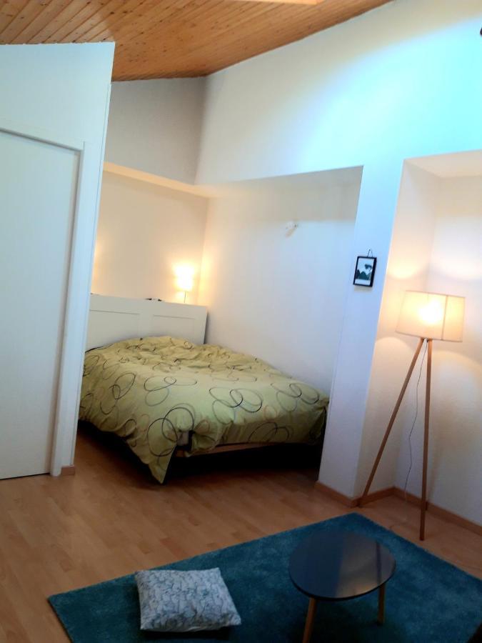 T3 Duplex Lumineux En Centre-Ville Сустон Екстер'єр фото